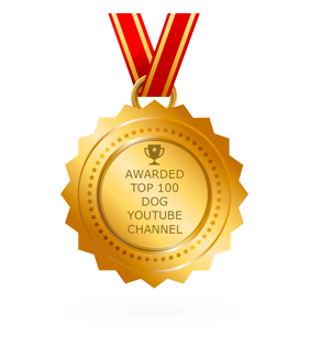 Youtube Best Channel Award